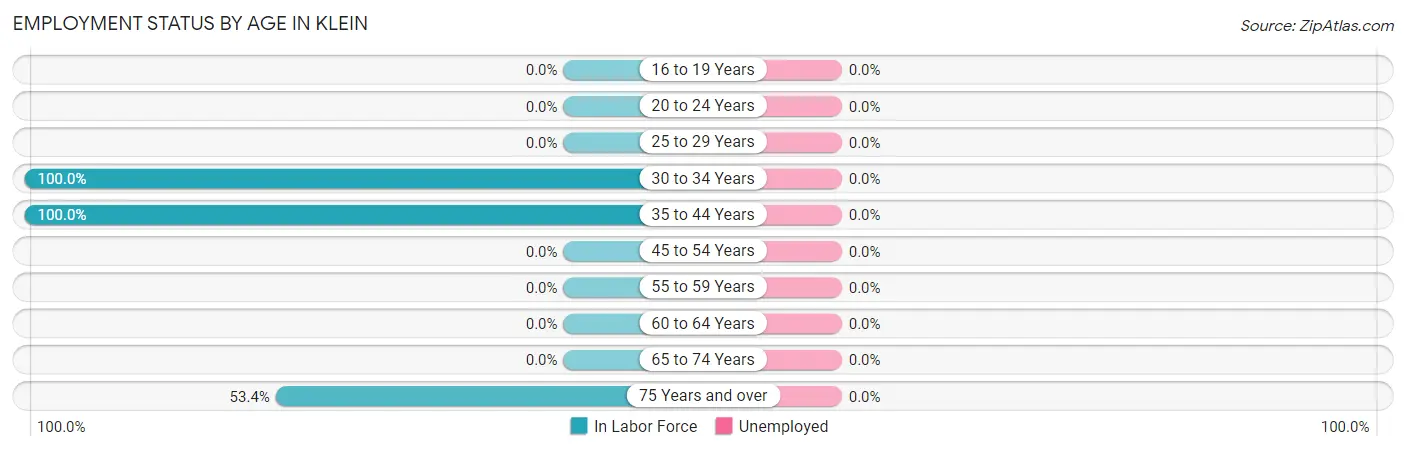 Employment Status by Age in Klein