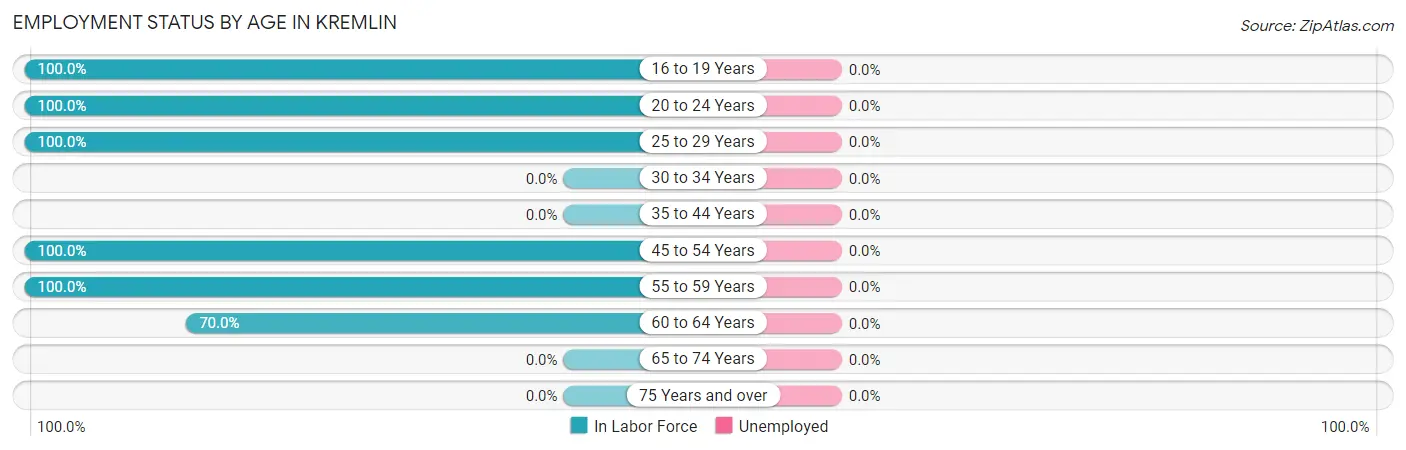 Employment Status by Age in Kremlin
