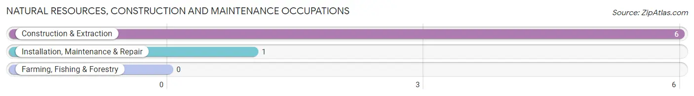 Natural Resources, Construction and Maintenance Occupations in Lavina