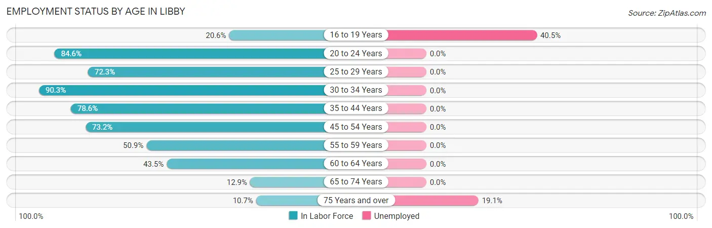 Employment Status by Age in Libby