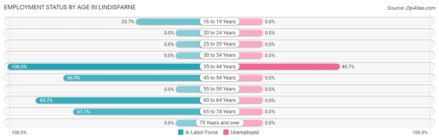 Employment Status by Age in Lindisfarne