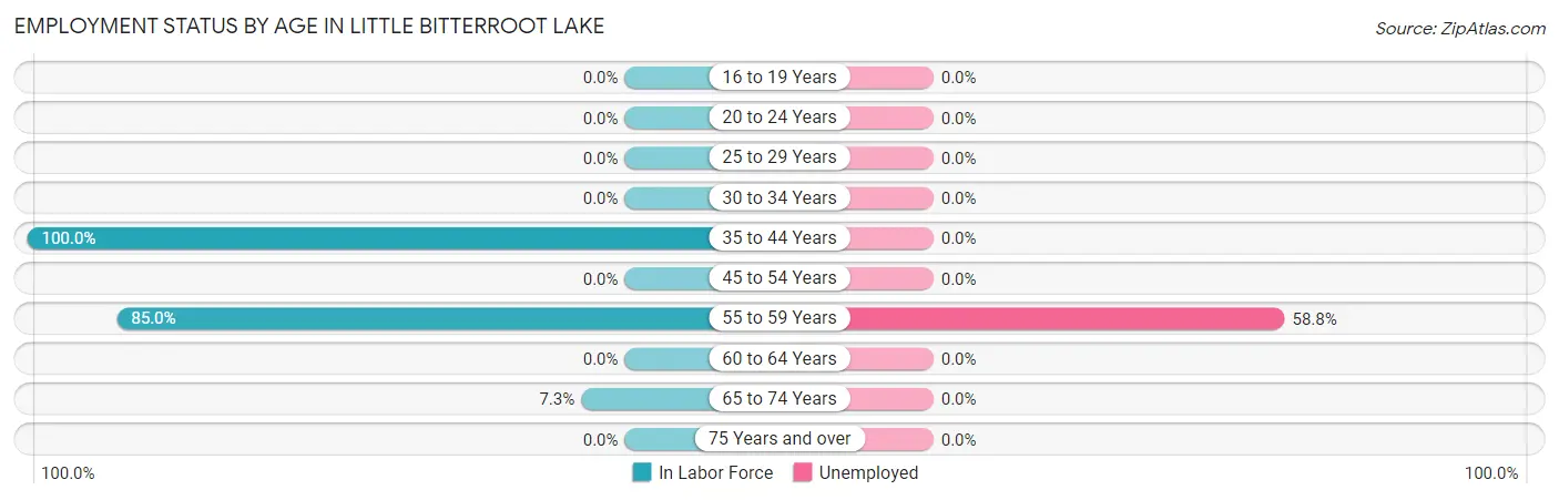Employment Status by Age in Little Bitterroot Lake