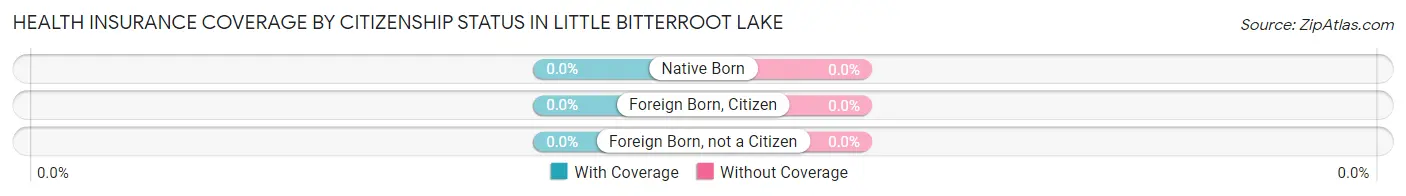 Health Insurance Coverage by Citizenship Status in Little Bitterroot Lake