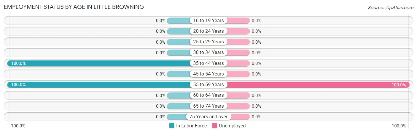 Employment Status by Age in Little Browning