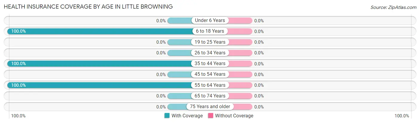 Health Insurance Coverage by Age in Little Browning