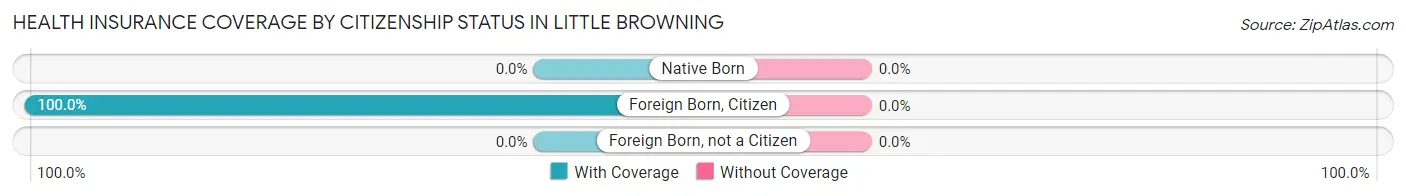 Health Insurance Coverage by Citizenship Status in Little Browning