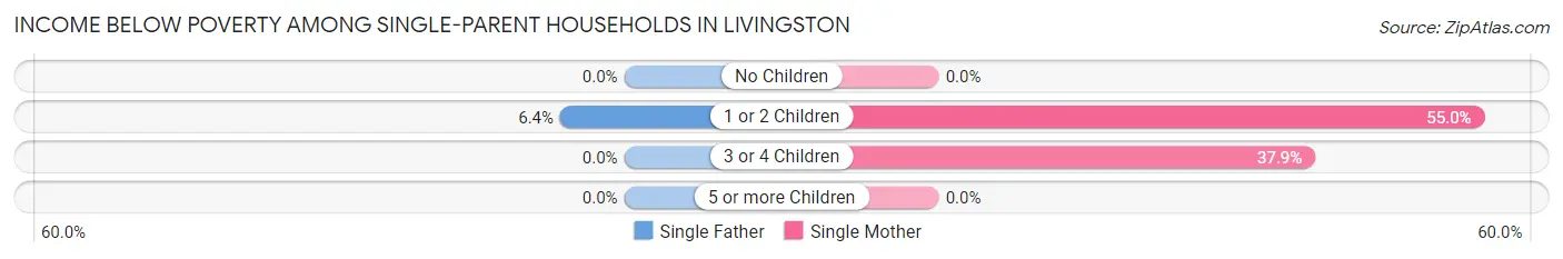 Income Below Poverty Among Single-Parent Households in Livingston