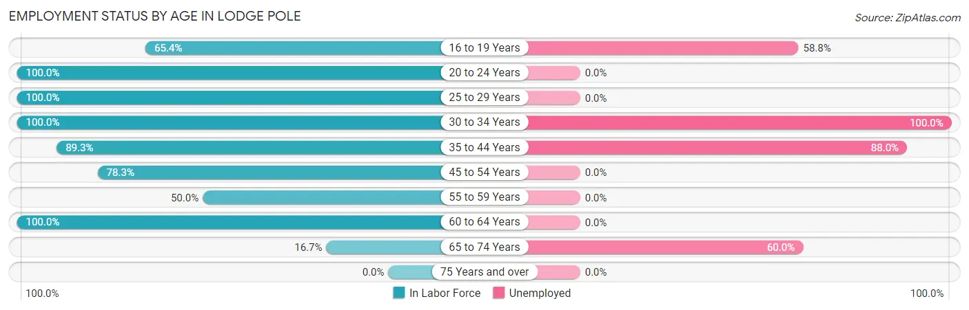 Employment Status by Age in Lodge Pole