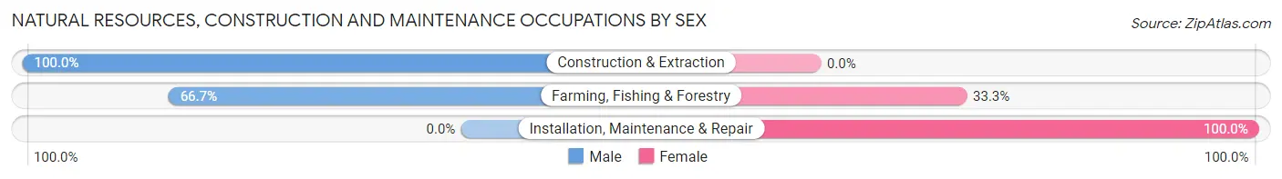 Natural Resources, Construction and Maintenance Occupations by Sex in Lodge Pole