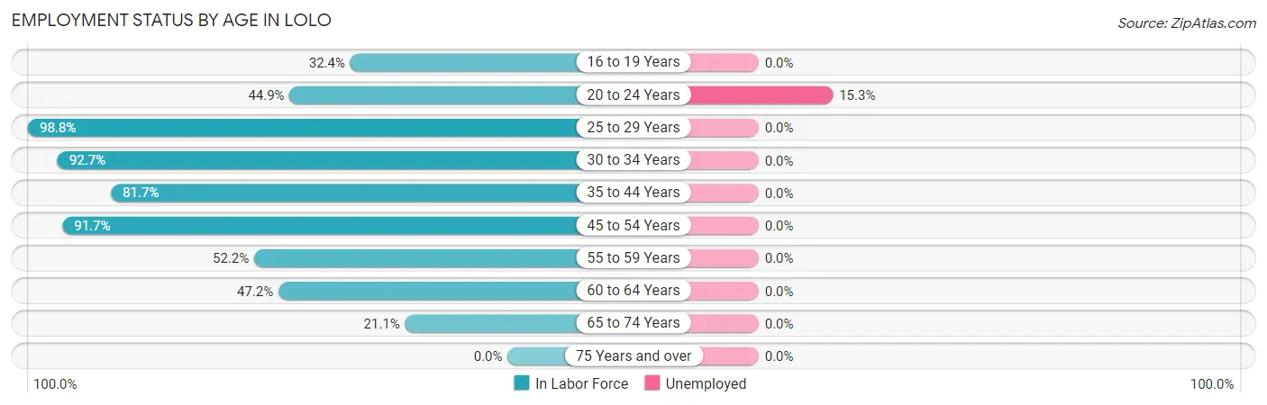 Employment Status by Age in Lolo