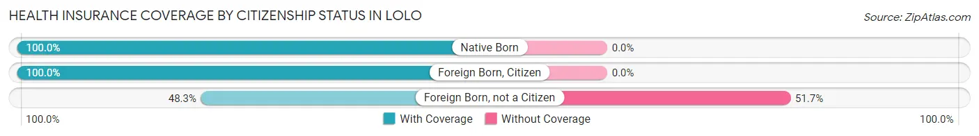 Health Insurance Coverage by Citizenship Status in Lolo