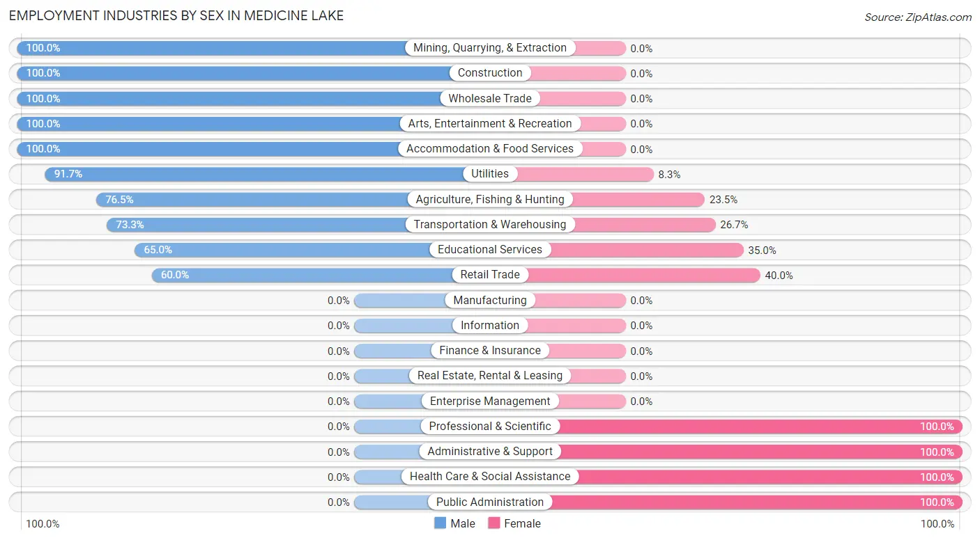 Employment Industries by Sex in Medicine Lake