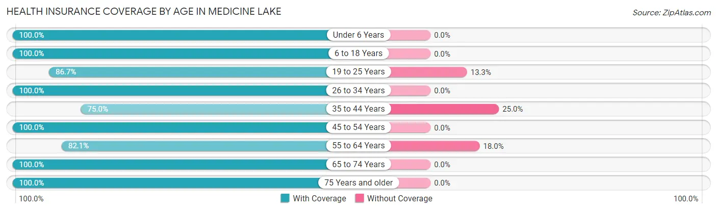 Health Insurance Coverage by Age in Medicine Lake