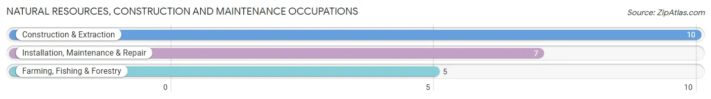 Natural Resources, Construction and Maintenance Occupations in Medicine Lake