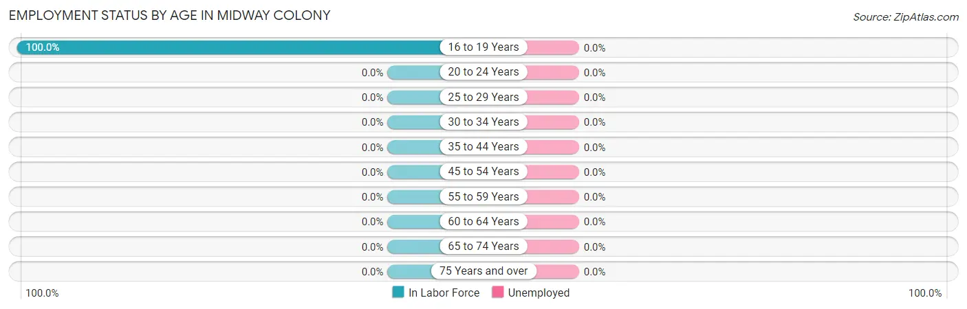 Employment Status by Age in Midway Colony