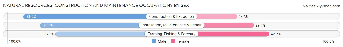 Natural Resources, Construction and Maintenance Occupations by Sex in Missoula