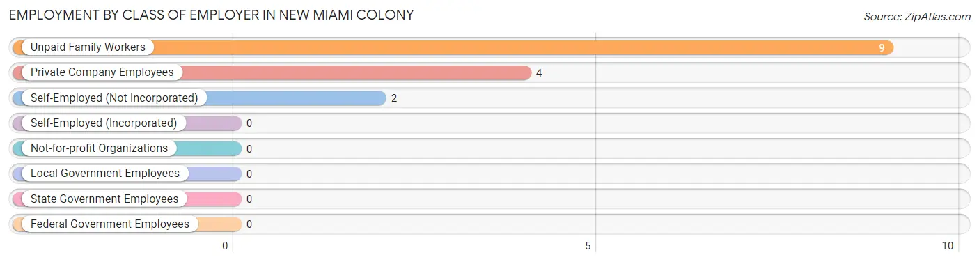 Employment by Class of Employer in New Miami Colony