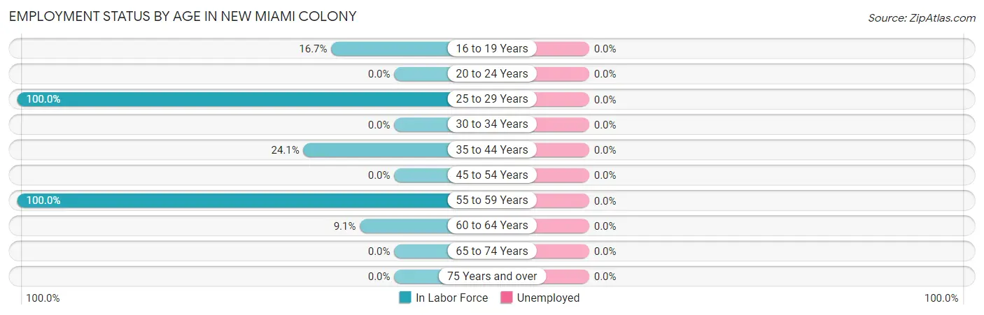 Employment Status by Age in New Miami Colony