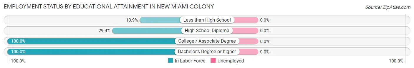 Employment Status by Educational Attainment in New Miami Colony