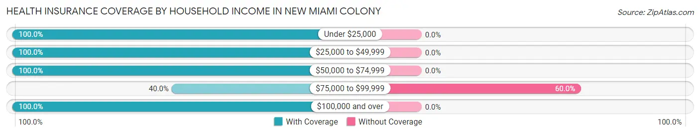 Health Insurance Coverage by Household Income in New Miami Colony