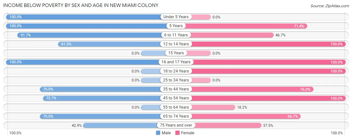 Income Below Poverty by Sex and Age in New Miami Colony