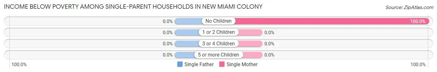 Income Below Poverty Among Single-Parent Households in New Miami Colony