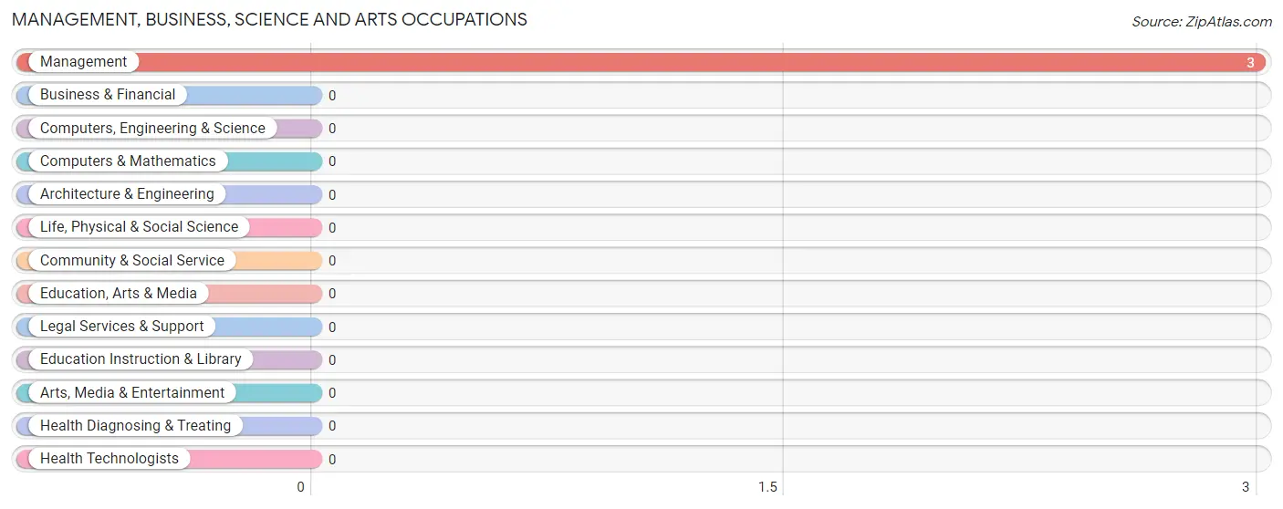 Management, Business, Science and Arts Occupations in New Miami Colony