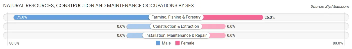 Natural Resources, Construction and Maintenance Occupations by Sex in New Miami Colony