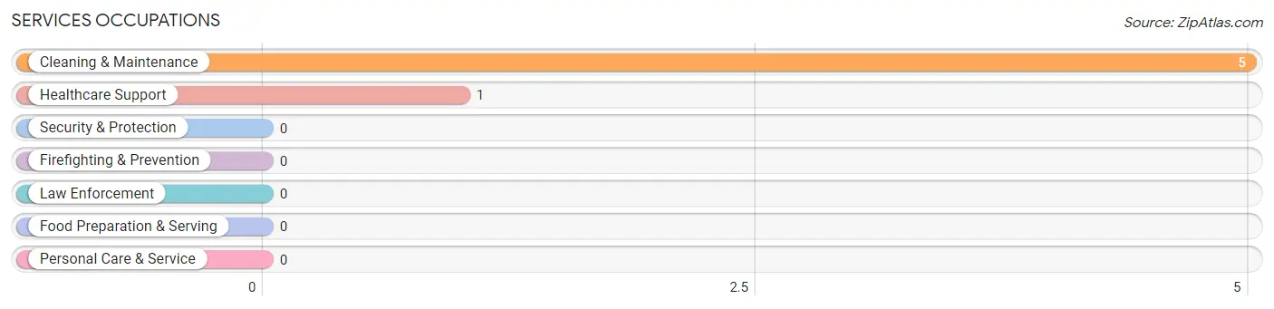 Services Occupations in New Miami Colony