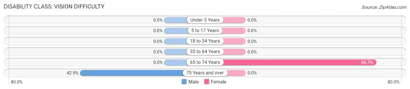 Disability in New Miami Colony: <span>Vision Difficulty</span>