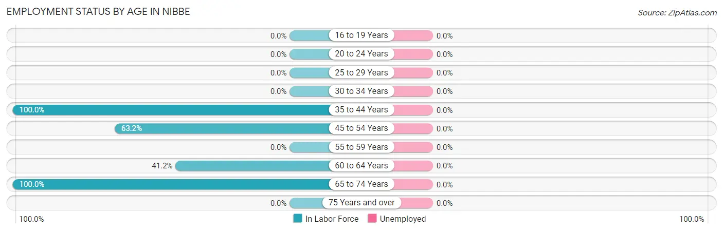 Employment Status by Age in Nibbe