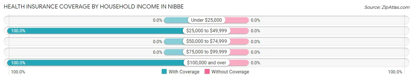 Health Insurance Coverage by Household Income in Nibbe