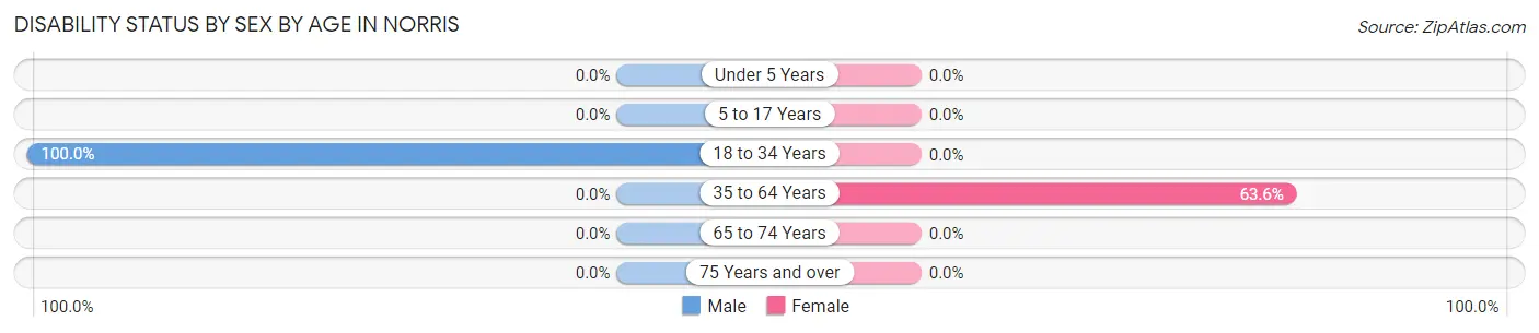 Disability Status by Sex by Age in Norris