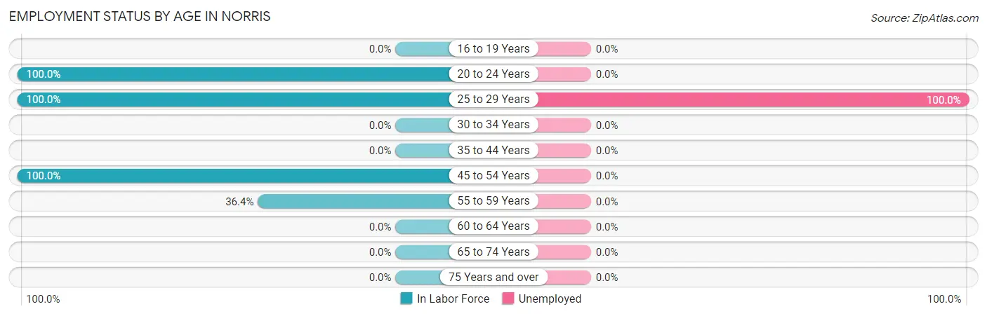 Employment Status by Age in Norris