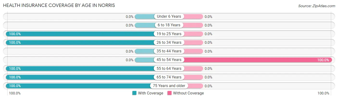 Health Insurance Coverage by Age in Norris
