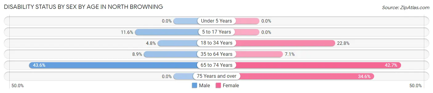 Disability Status by Sex by Age in North Browning