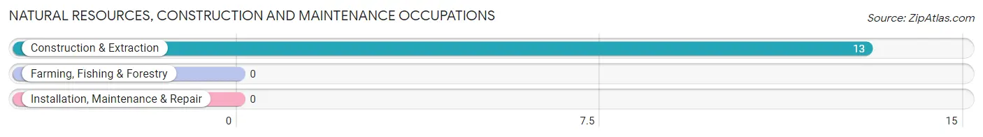 Natural Resources, Construction and Maintenance Occupations in North Browning