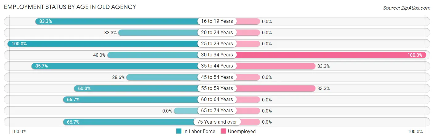 Employment Status by Age in Old Agency