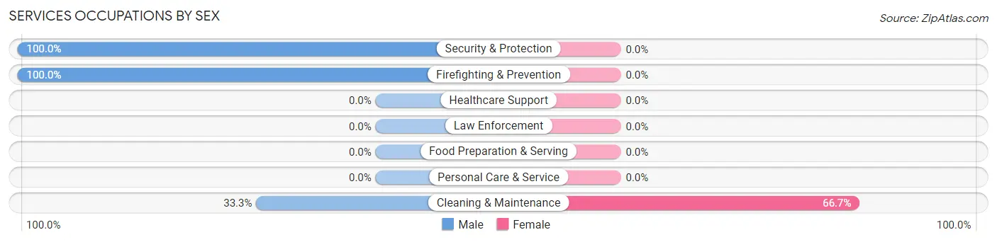Services Occupations by Sex in Ovando