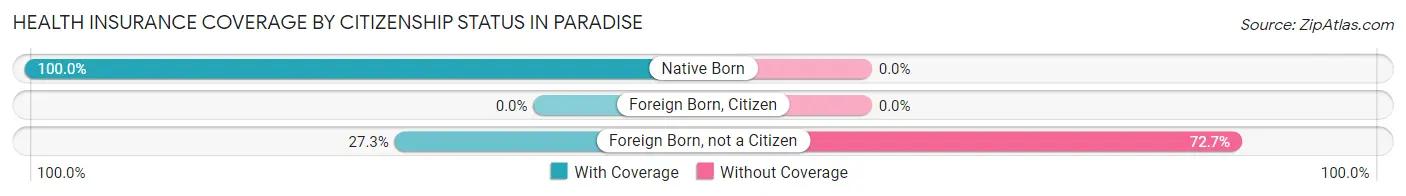 Health Insurance Coverage by Citizenship Status in Paradise