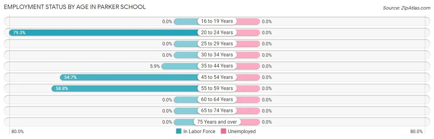 Employment Status by Age in Parker School
