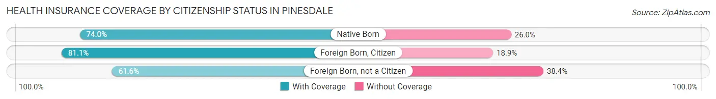 Health Insurance Coverage by Citizenship Status in Pinesdale