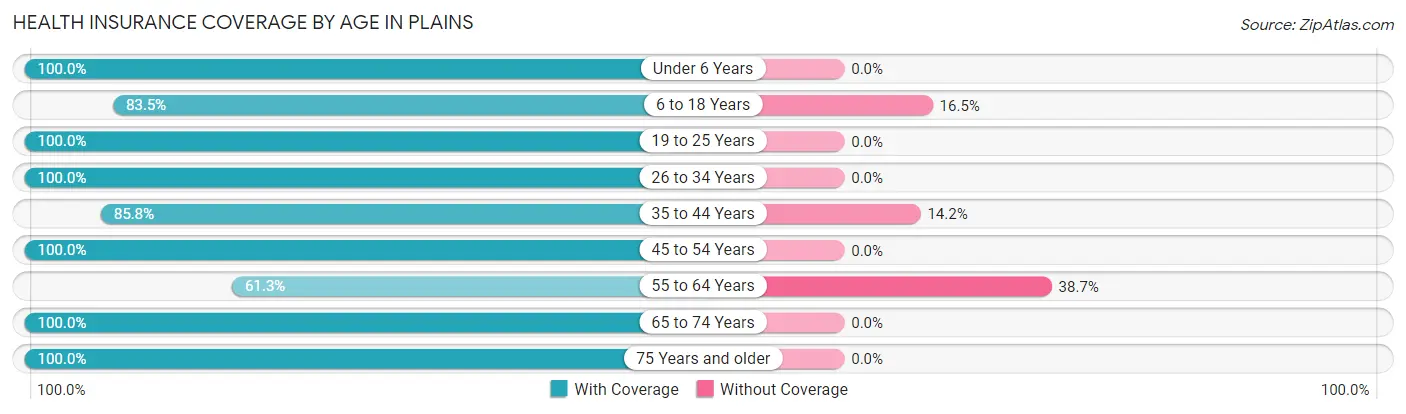 Health Insurance Coverage by Age in Plains