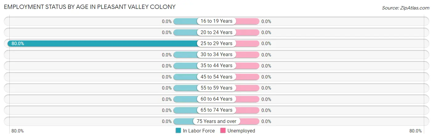 Employment Status by Age in Pleasant Valley Colony