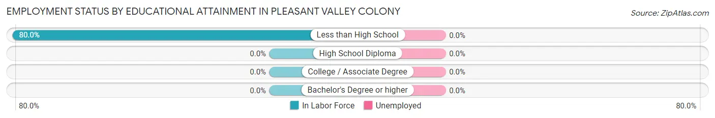 Employment Status by Educational Attainment in Pleasant Valley Colony