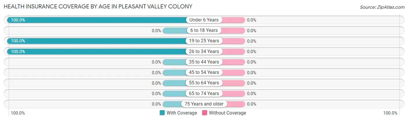 Health Insurance Coverage by Age in Pleasant Valley Colony