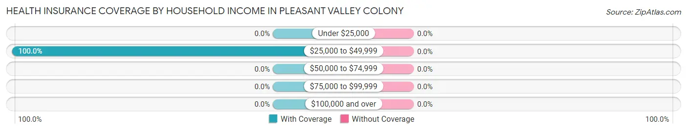 Health Insurance Coverage by Household Income in Pleasant Valley Colony