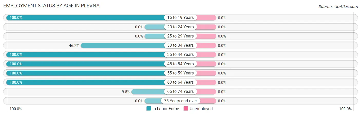 Employment Status by Age in Plevna