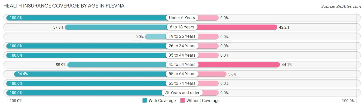 Health Insurance Coverage by Age in Plevna