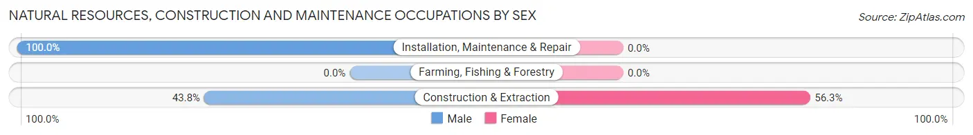 Natural Resources, Construction and Maintenance Occupations by Sex in Plevna